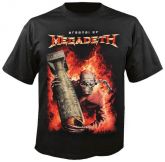 Megadeth #5