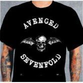 Avenged Sevenfold #22